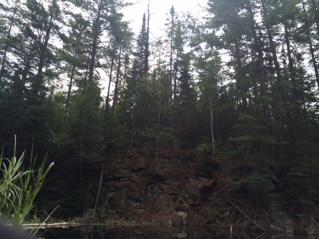 Algonquin Provincial Park